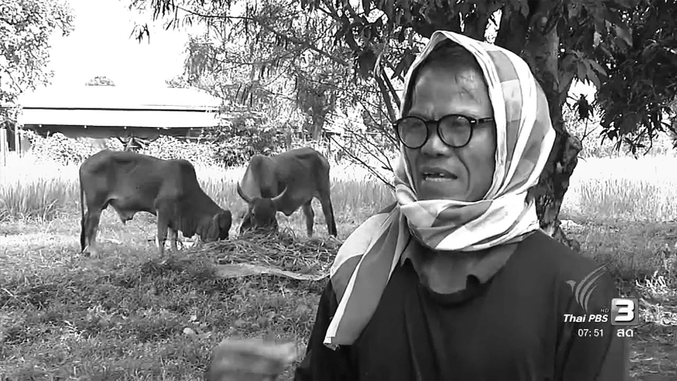 "เศรษฐกิจพอเพียง" ความสุขแบบเพียงพอของชาวนาส่วง