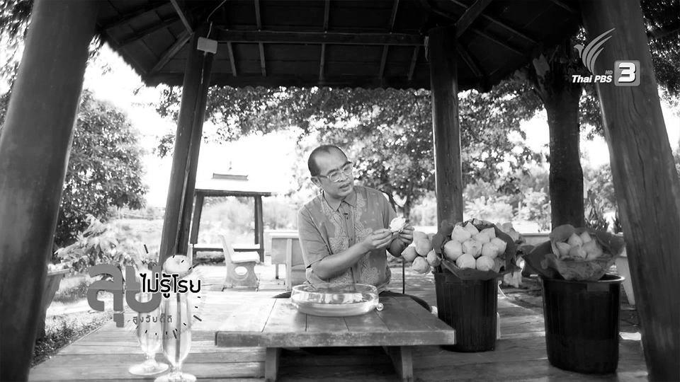 สอนพับดอกบัว