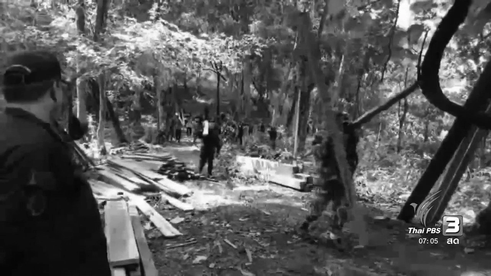 เปิดยุทธการทวงคืนผืนป่าเพื่อพ่อ