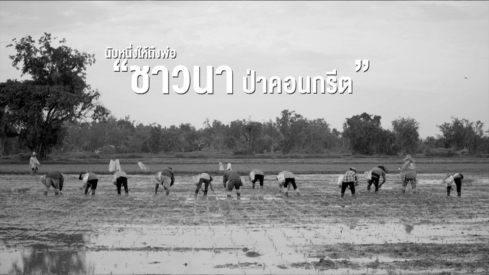 ชาวนาป่าคอนกรีต