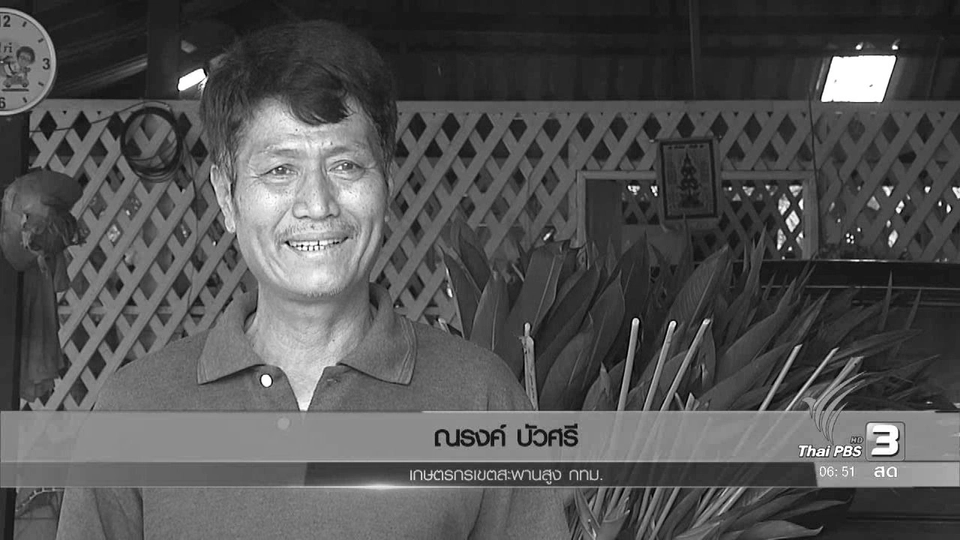 เกษตรทฤษฏีใหม่ นำทางชีวิตพอเพียงตามรอยพ่อ