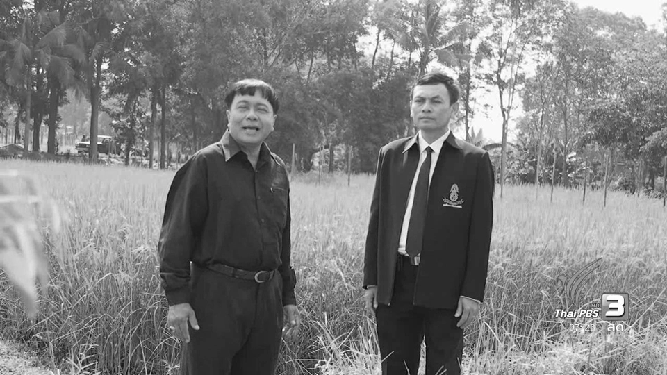 ศูนย์ศึกษาการพัฒนาเขาหินซ้อน อันเนื่องมาจากพระราชดำริ