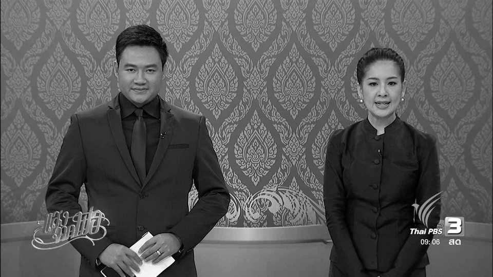 “โคนม” อาชีพพระราชทาน, กำปั้นไทย...หมัดนี้เพื่อพ่อ