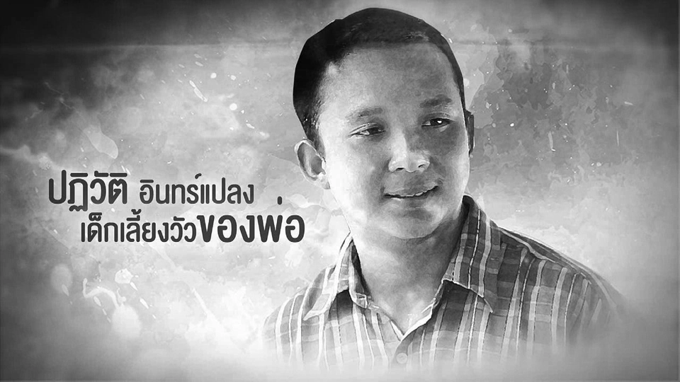 ​เด็กเลี้ยงวัวของพ่อ