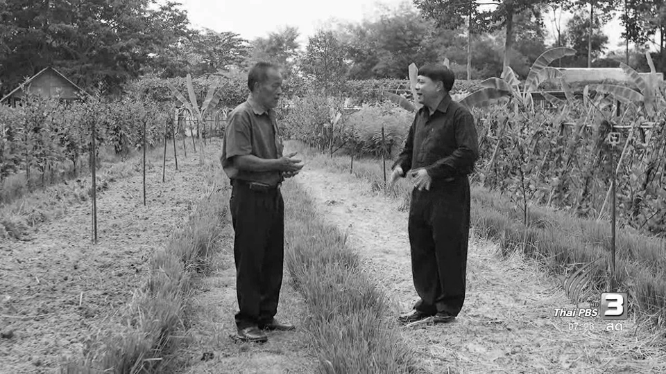 การแก้ปัญหาดิน เพื่อการทำเกษตรที่ยั่งยืน