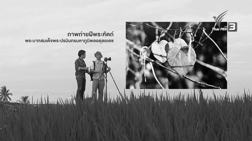 ช่างภาพ 7 บาท