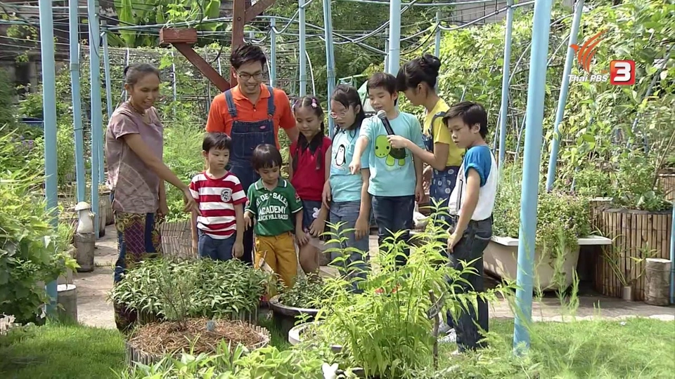 ย้อมสีผ้า