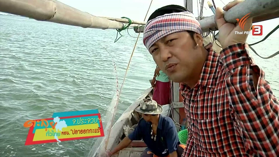 ตะลุยทั่วไทย : ปลาออกกะแร้