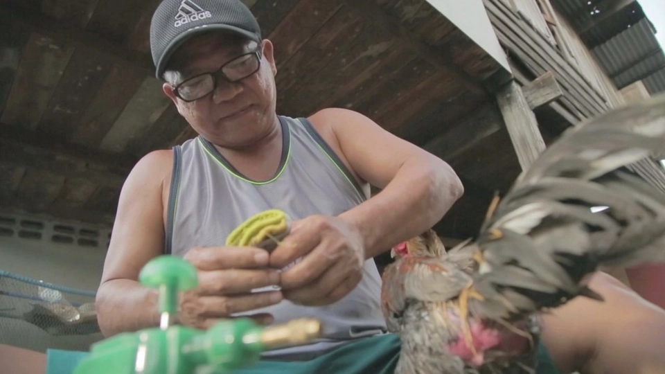 ครอบครัวฤทธิ์เดช ตอน 1