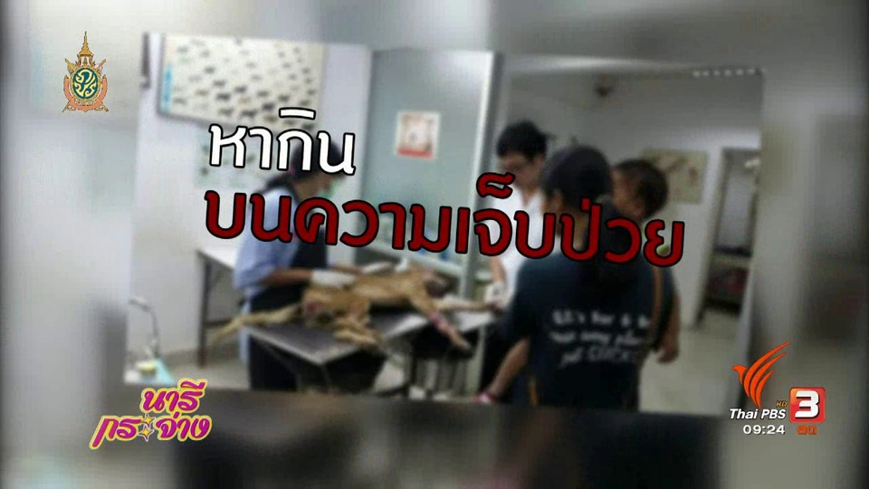 ภัยร้ายรอบตัว : หลอกบริจาคให้หมาแมว