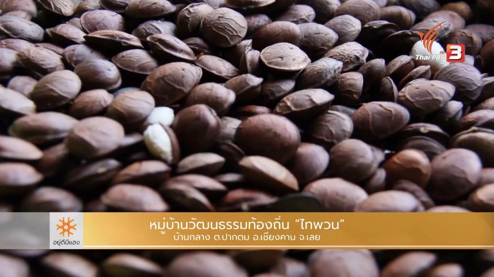 ไทพวนบ้านกลางแห่งแม่น้ำเลย