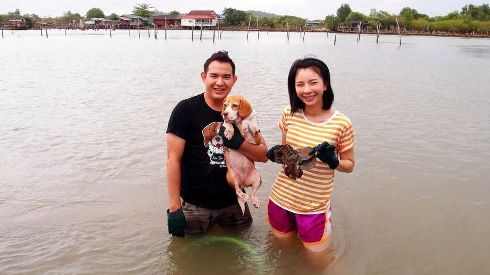 หอยเฉลียบ