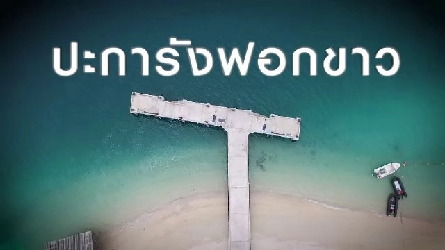 ปะการังฟอกขาว