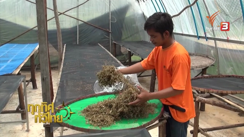 ประเด็นข่าว (11 ก.ค. 59)