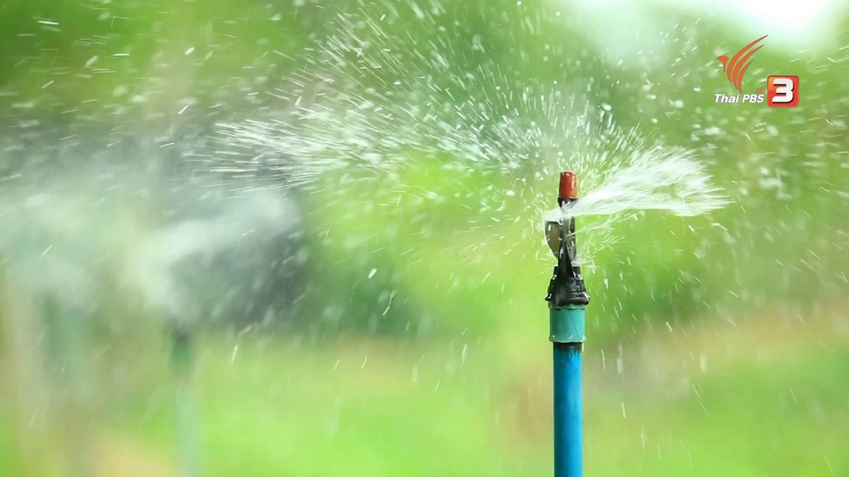 ตอนที่ 10