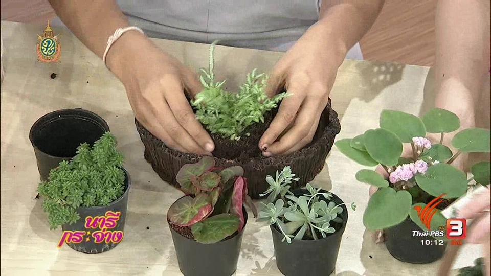 Talk : ของชำร่วยทำมือ...จากต้นไม้มงคล
