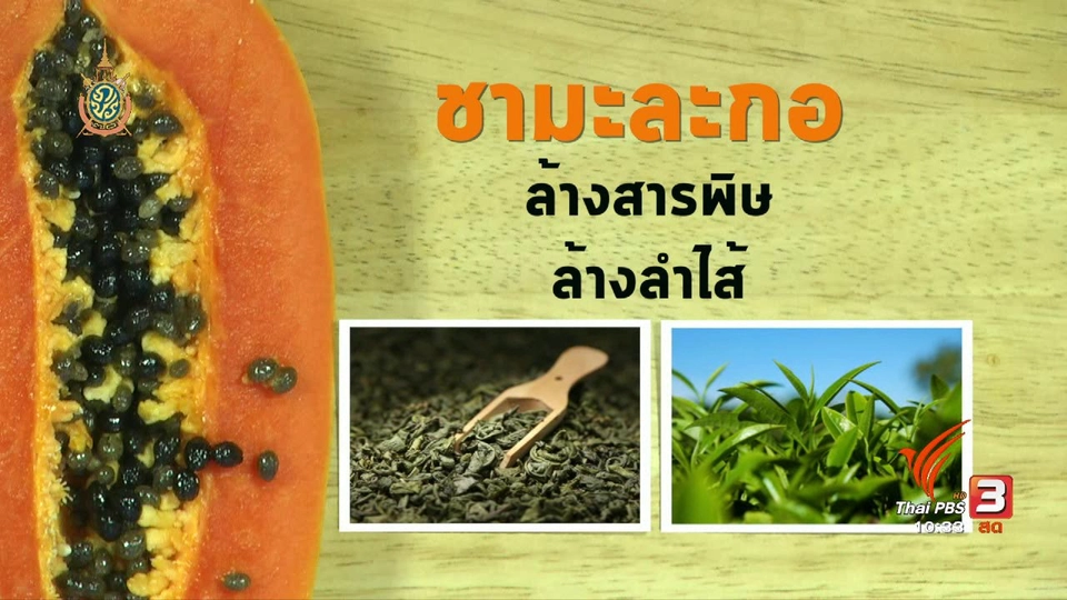 อาหารเป็นยา : ประโยชน์ของมะละกอ