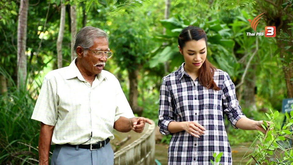 ยาสมุนไพรบำรุงธาตุ, ฝึกพิลาทิสกระชับเอว