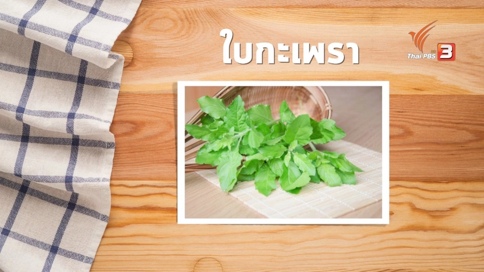 อาหารเป็นยา : ตอน กะเพรา