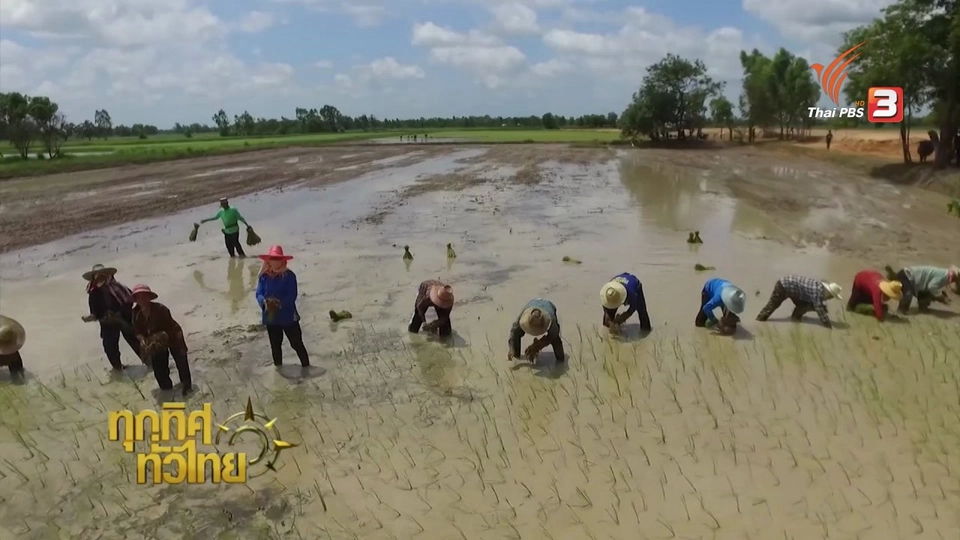 ประเด็นข่าว (13 ก.ค. 59)