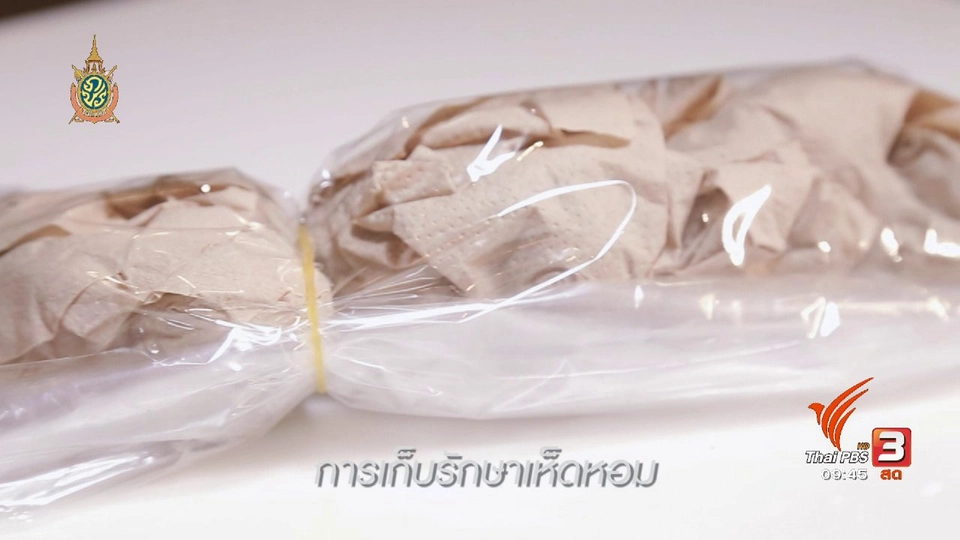 สุดยอดแม่บ้าน "รักษาความสดของผักแต่ละชนิด"