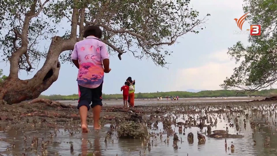 ดูดาวในทะเล