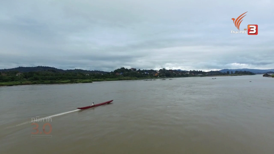 ขวัญใจเกษตรไอดอล, ศรีเจริญสีเขียว, เรือใหญ่ไล่เรือเล็ก