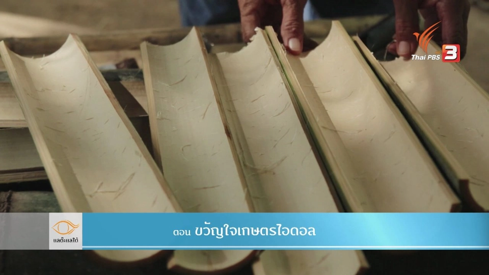 ขวัญใจเกษตรไอดอล