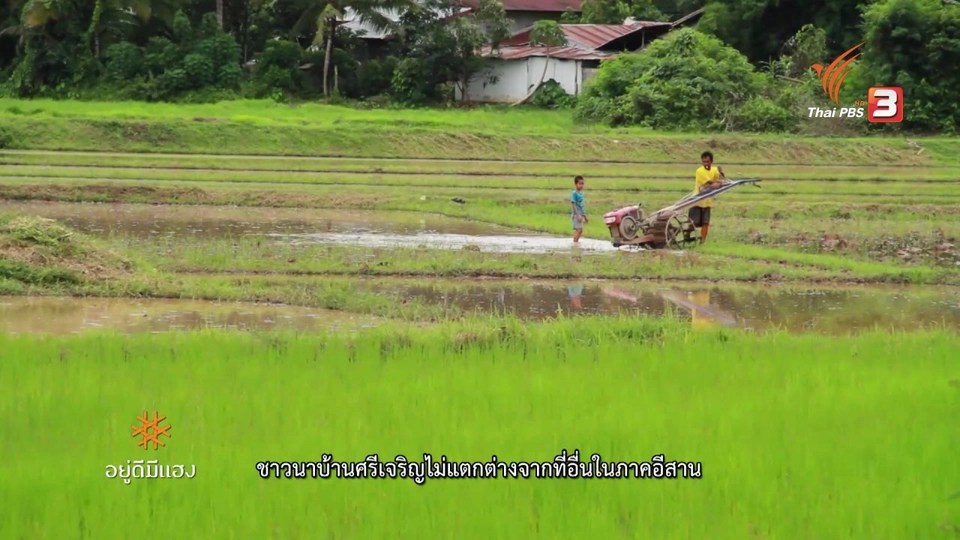 ศรีเจริญสีเขียว