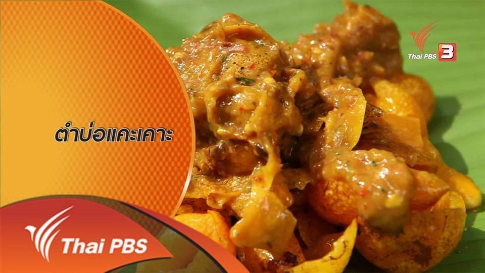 ตะลุยทั่วไทย : 7 มิ.ย. 59