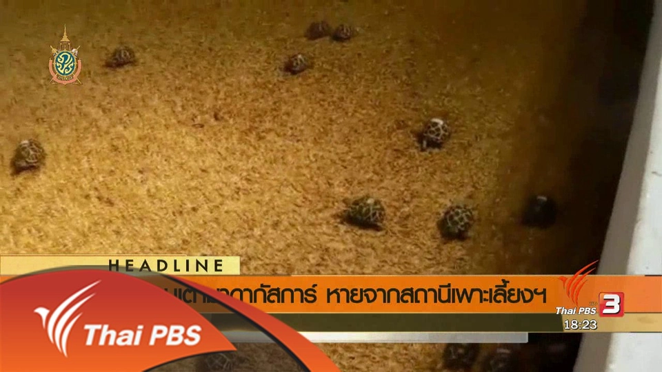 ประเด็นข่าว (7 มิ.ย. 59)