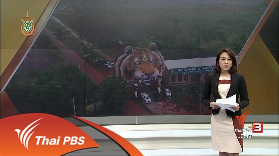 ปมค้าเสือ