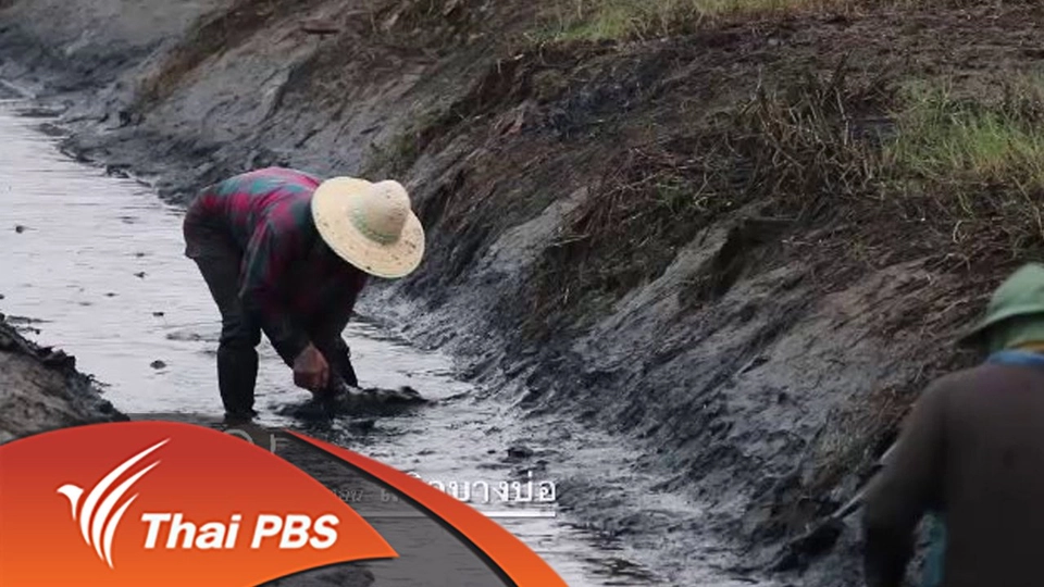 สลิดบางบ่อ