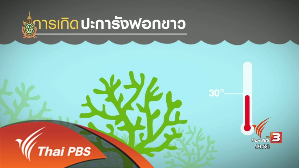 วิกฤตปะการังฟอกขาว