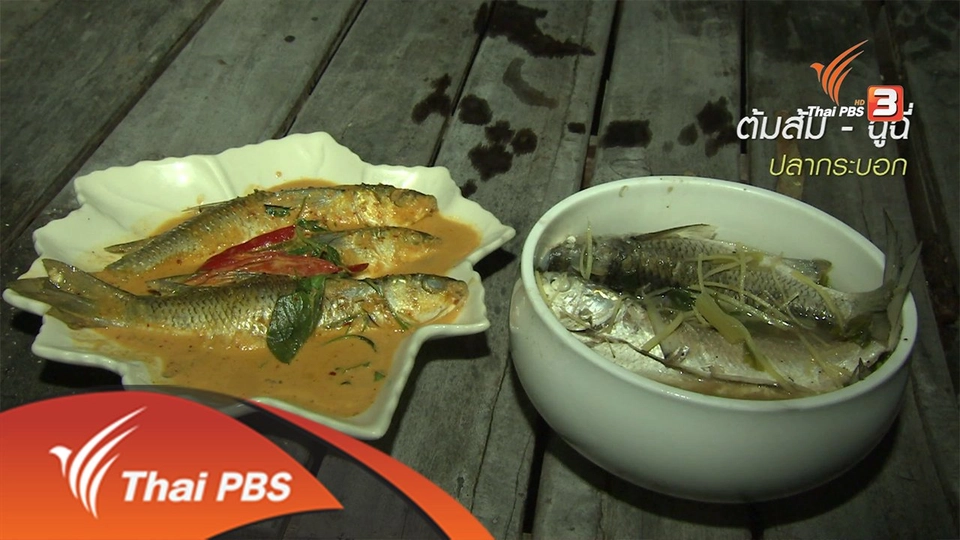 ตะลุยทั่วไทย : 10 มิ.ย. 59