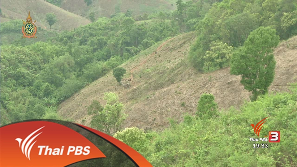 ถอดรหัส ฟื้นป่าน่าน