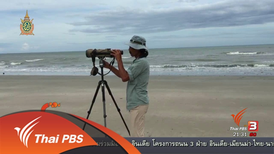 นักข่าวพลเมือง : "ลุงแดง" นักดูนกแห่งบ้านแหลมผักเบี้ย จ.เพชรบุรี