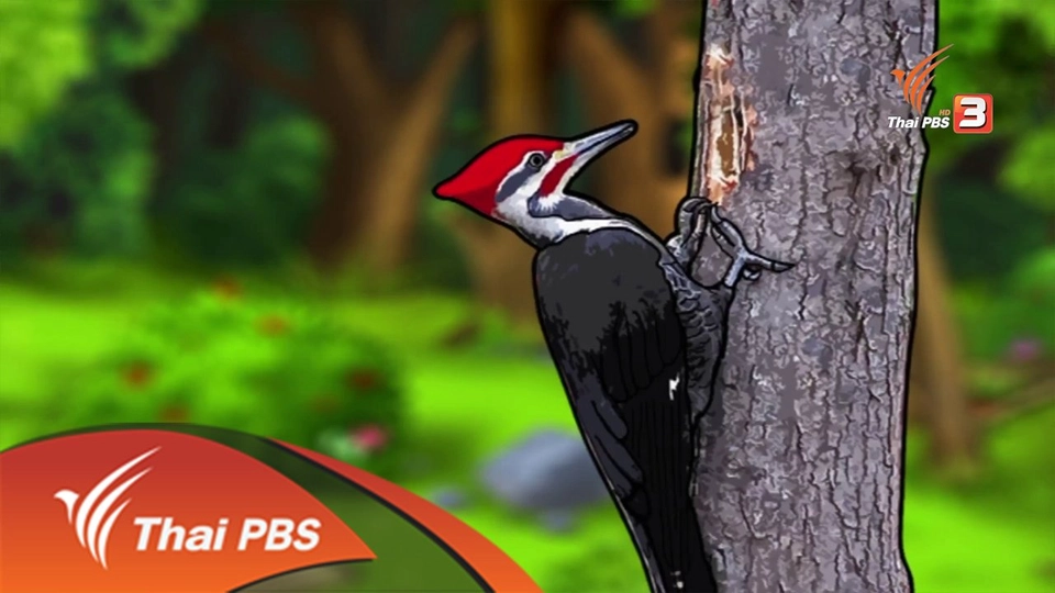 นกหัวขวาน