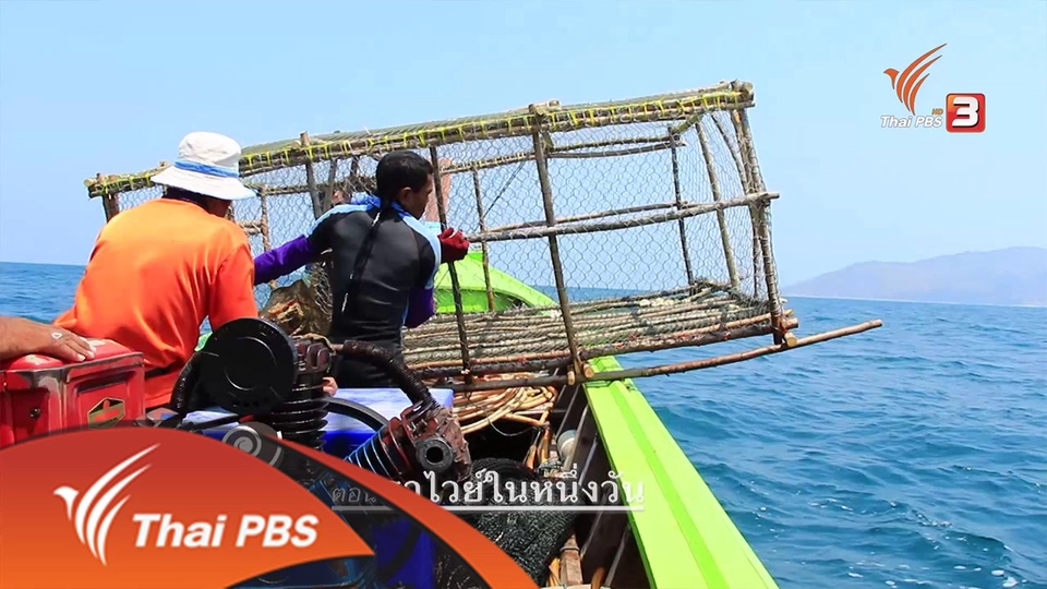 ราไวย์ในหนึ่งวัน