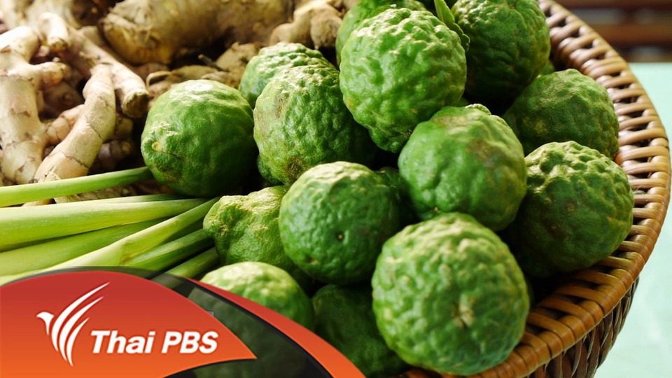 ห่วงสมุนไพรป้องกันแผลกดทับ