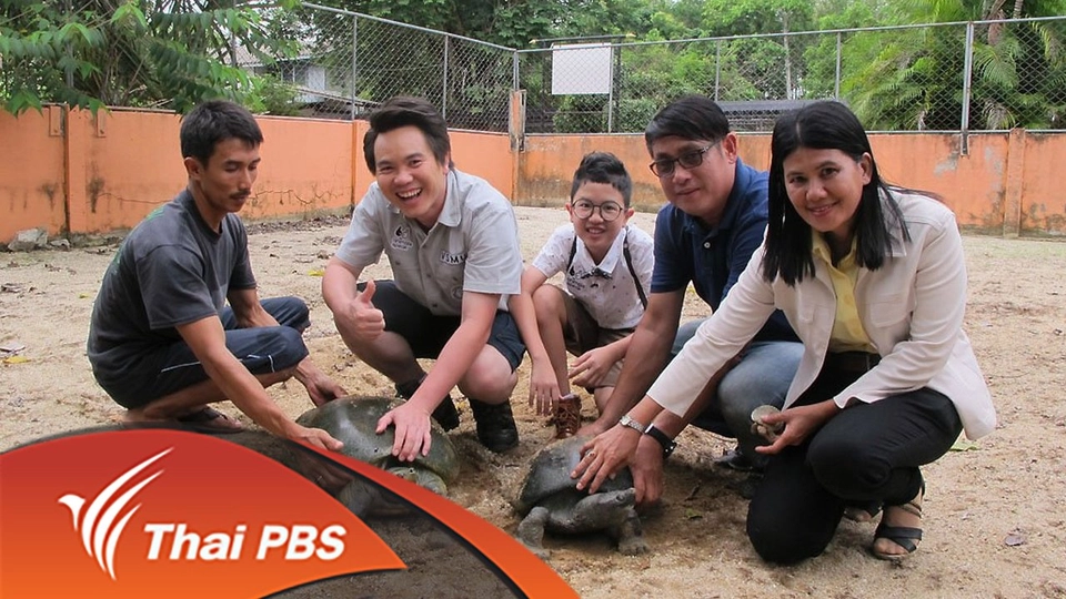 เต่าไทยใกล้สูญพันธุ์