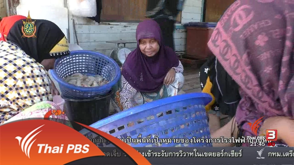 นักข่าวพลเมือง : คนจับกุ้ง จ.กระบี่