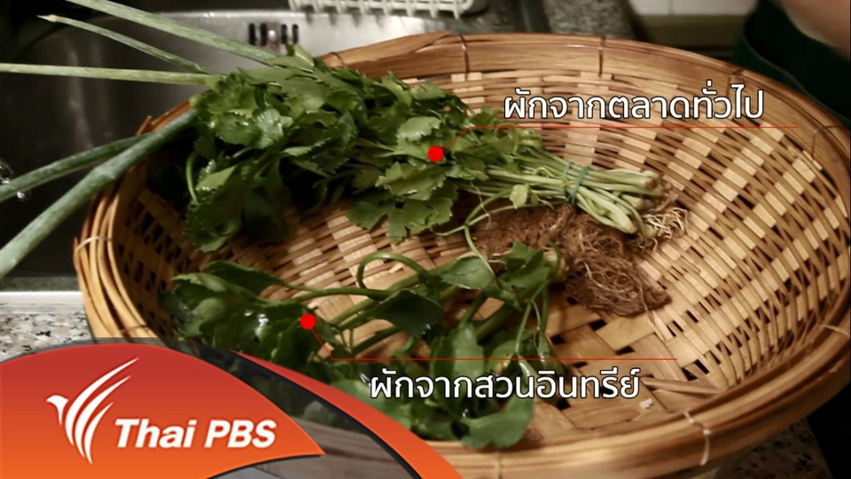 ภารกิจของคนกินผัก