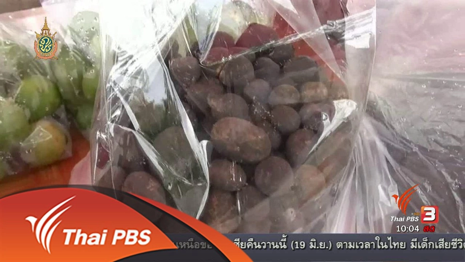 เตือนเห็ดเผาะสองพันธุ์ขายปะปนกัน