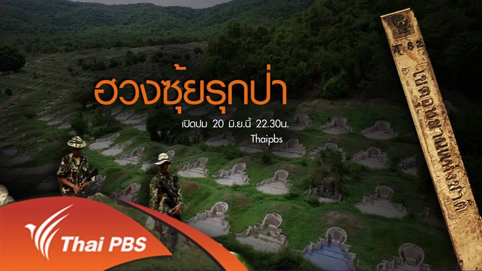 ฮวงซุ้ยรุกป่า