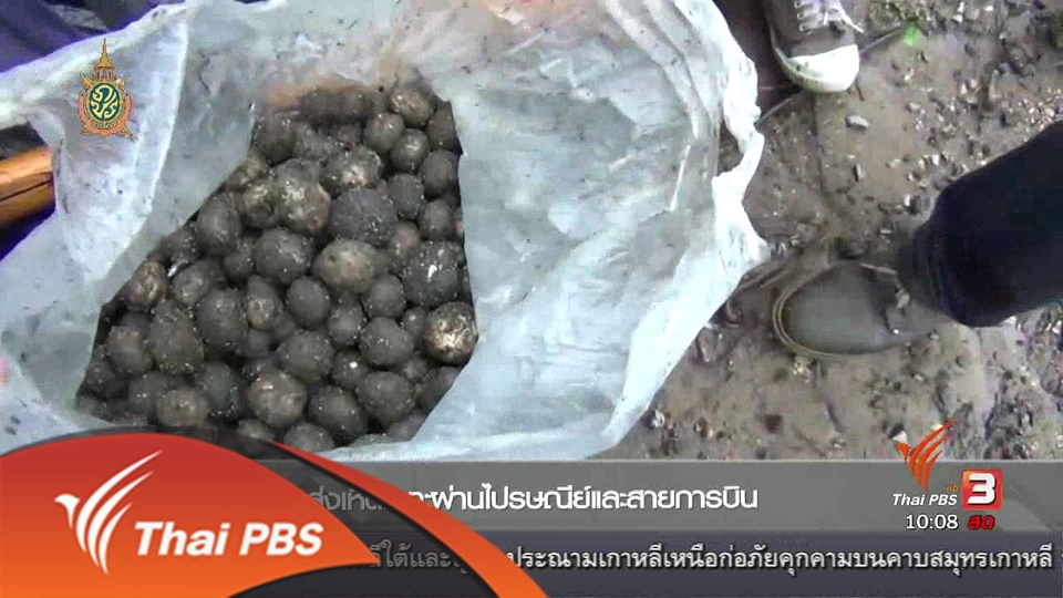 ส่งเห็ดเผาะผ่านไปรษณีย์และสายการบิน