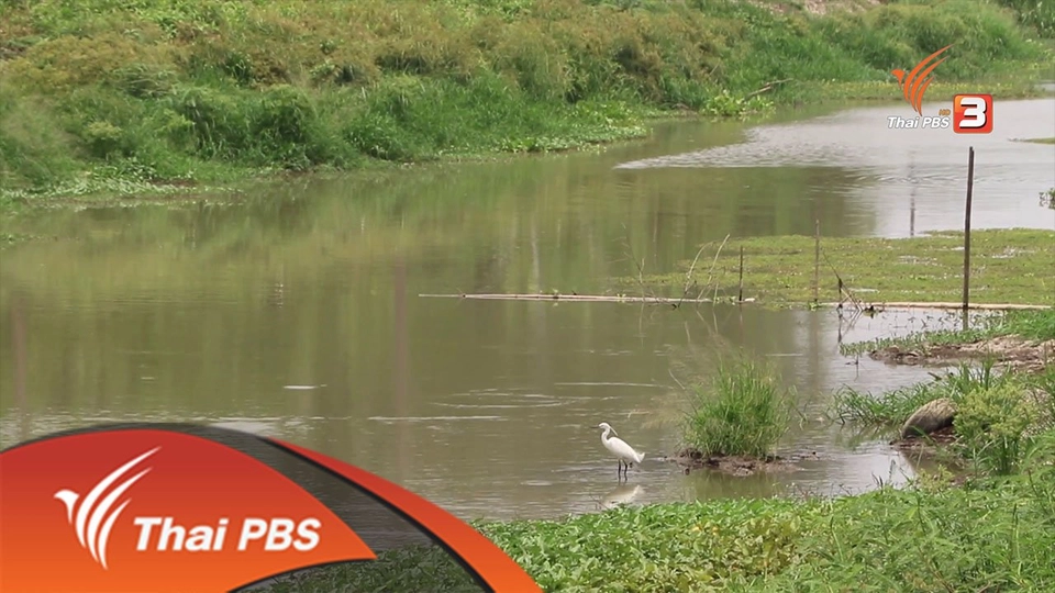 พระอาจารย์เจ้าขา