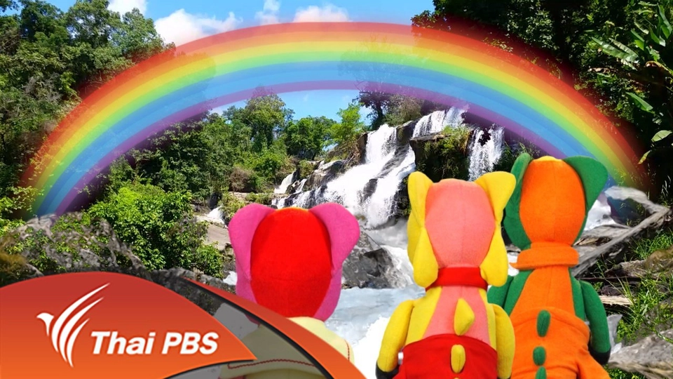 เต่าตัวจิ๋ว