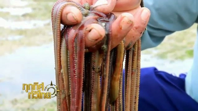 ประเด็นข่าว (27 มิ.ย. 59)