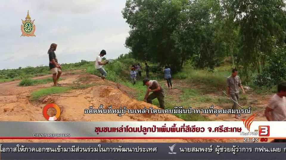 นักข่าวพลเมือง : ชุมชนเหล่าโดนปลูกป่าเพิ่มพื้นที่สีเขียว จ.ศรีสะเกษ